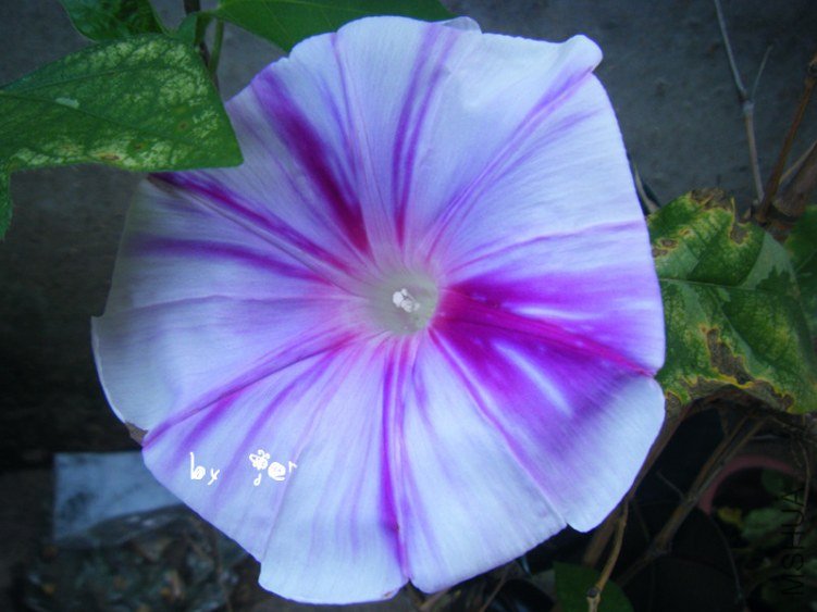 DSCF7589_����.jpg
