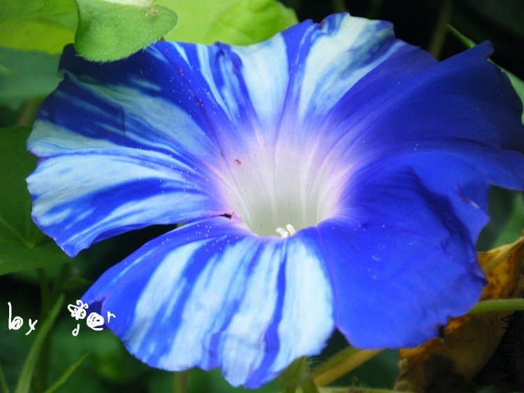 DSCF7598_����.jpg