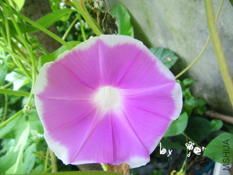 DSCF7618_����.jpg