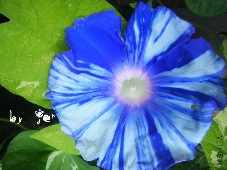 DSCF7620_����.jpg