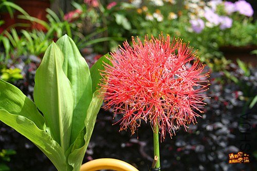 ��Ƭ 009_����.jpg