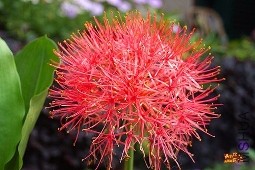 ��Ƭ 010_����.jpg