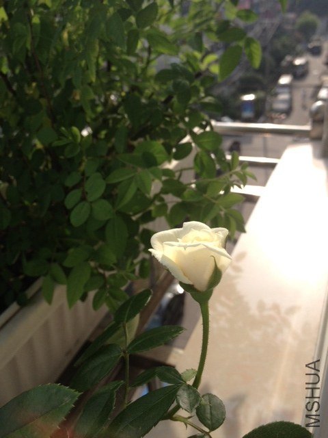 �������� ����