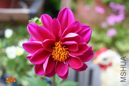 ��Ƭ 013_����.jpg