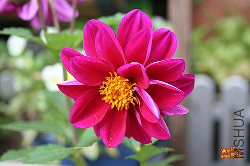 ��Ƭ 015_����.jpg