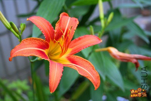 ��Ƭ 001_����.jpg