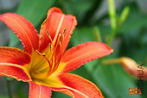 ��Ƭ 003_����.jpg