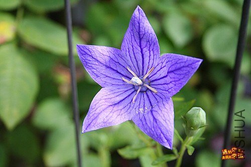 ��Ƭ 016_C����.jpg