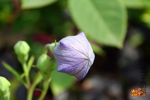 ��Ƭ 019_����.jpg