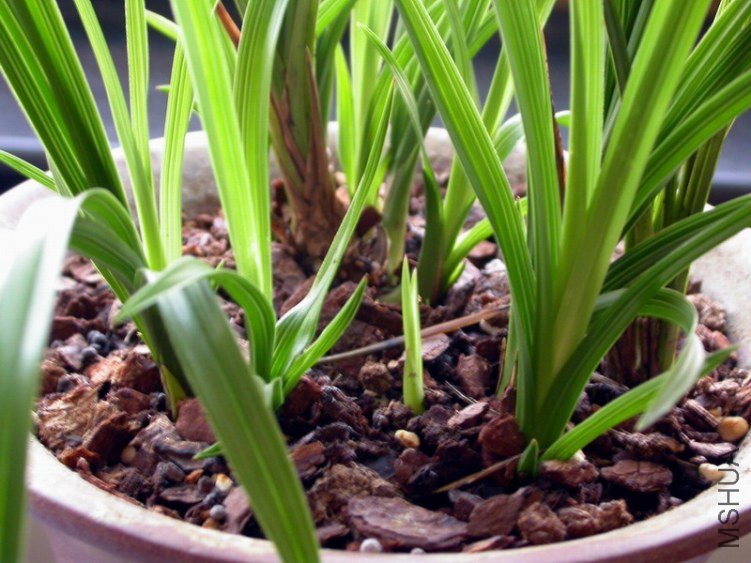 DSCN6647.JPG