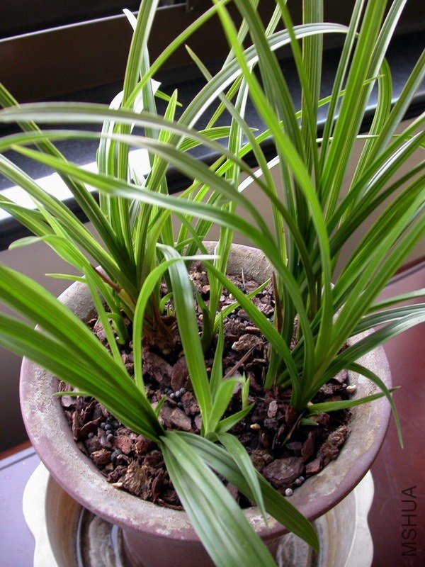 DSCN6649.JPG