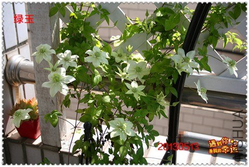 ��Ƭ 172a_����.jpg