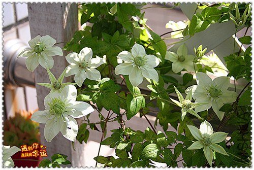 ��Ƭ 172b_����.jpg