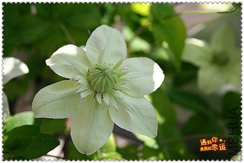 ��Ƭ 172c_����.jpg