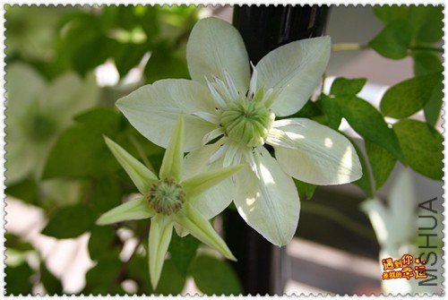 ��Ƭ 172d_����.jpg