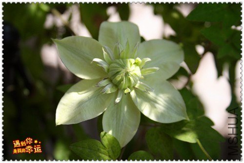 ��Ƭ 172e_����.jpg