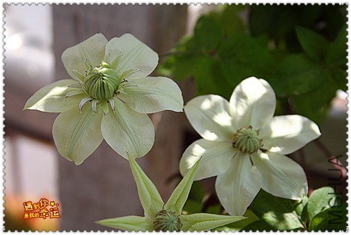 ��Ƭ 172f_����.jpg