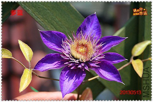 ��Ƭ 173a_����.jpg