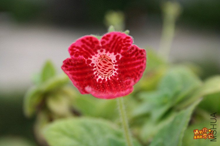 ��Ƭ 179_����.jpg