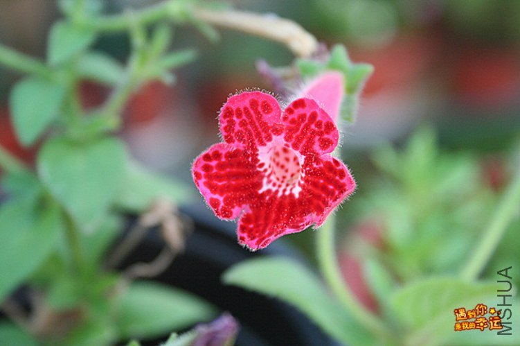 ��Ƭ 180_����.jpg