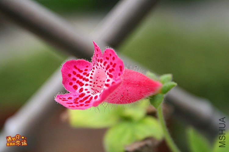 ��Ƭ 185_����.jpg