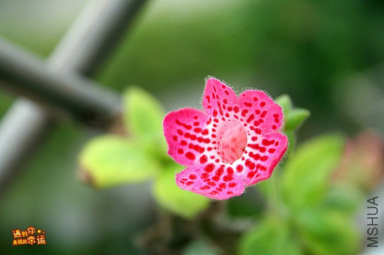 ��Ƭ 186_����.jpg