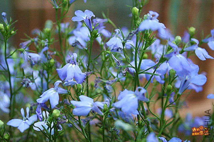 ��Ƭ 190_����.jpg