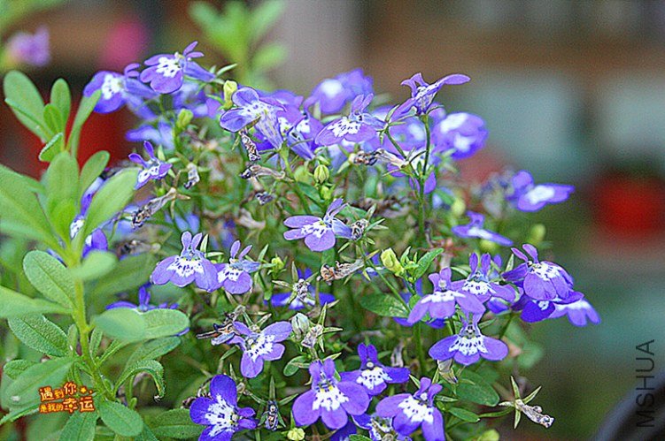 ��Ƭ 187_����.jpg