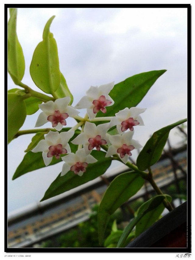 20130705_060855.jpg