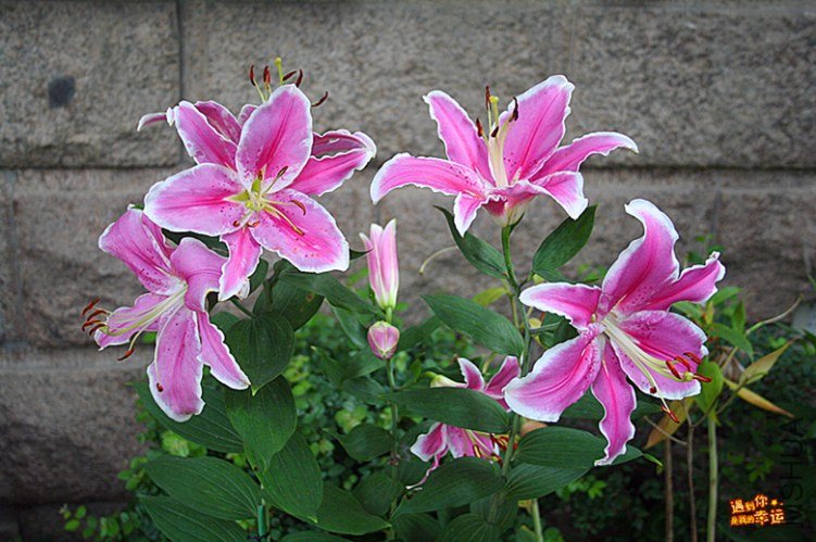 ��Ƭ 014_����.jpg