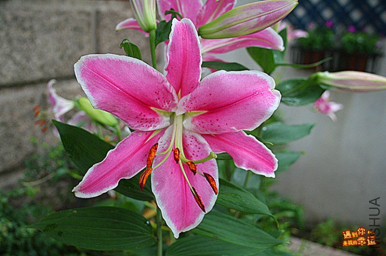 ��Ƭ 015_����.jpg