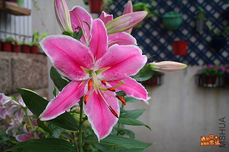 ��Ƭ 016_����.jpg