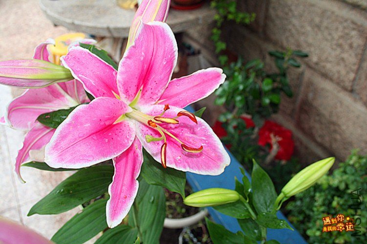 ��Ƭ 017_����.jpg