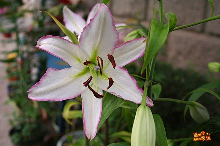 ��Ƭ 009_����.jpg