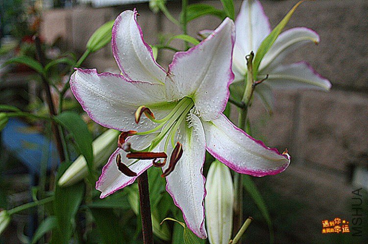 ��Ƭ 011_����.jpg