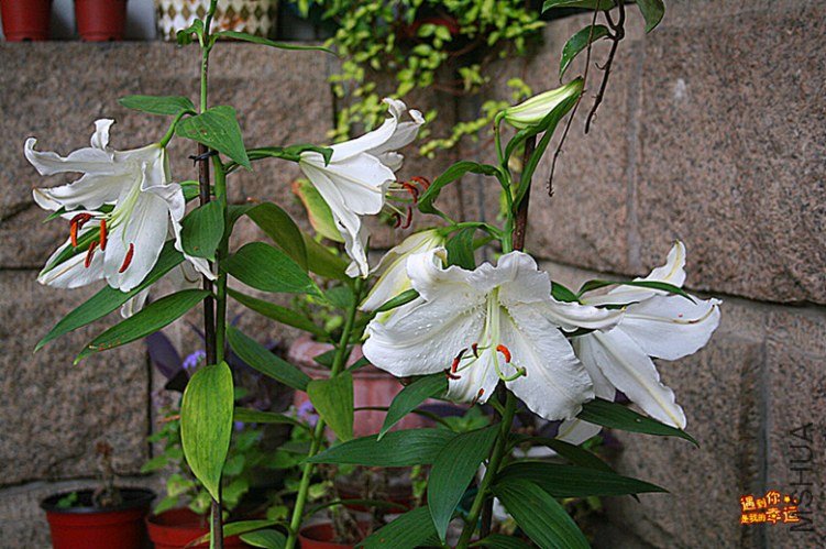 ��Ƭ 012_����.jpg