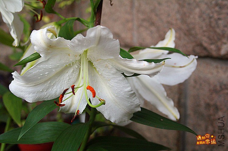 ��Ƭ 013_����.jpg