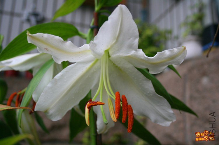 ��Ƭ 014_����.jpg