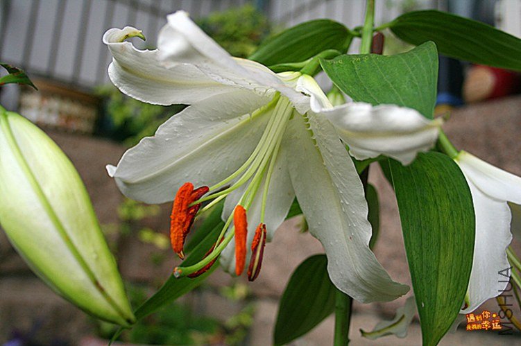 ��Ƭ 016_����.jpg