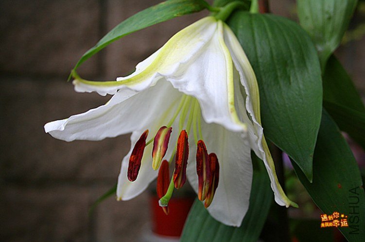 ��Ƭ 018_����.jpg