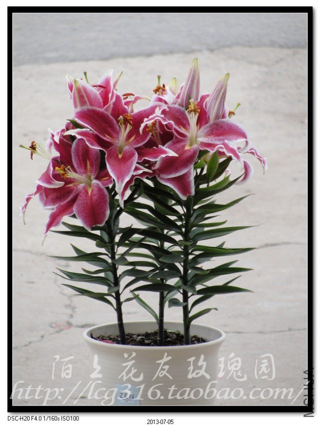 nEO_IMG_DSC05113.jpg