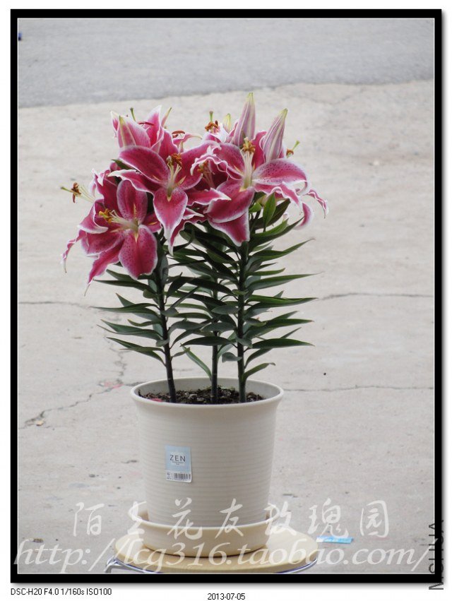 nEO_IMG_DSC05114.jpg
