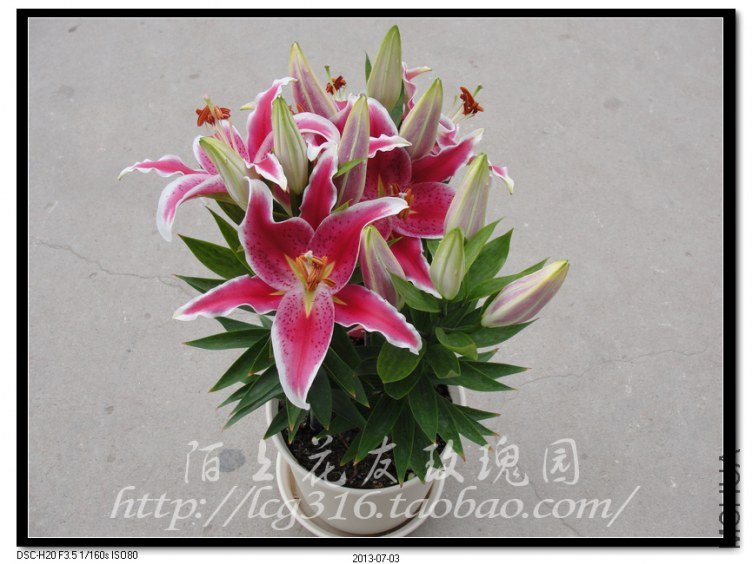 nEO_IMG_DSC05102.jpg