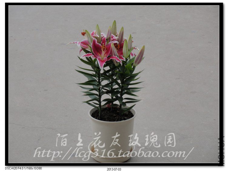 nEO_IMG_DSC05103.jpg