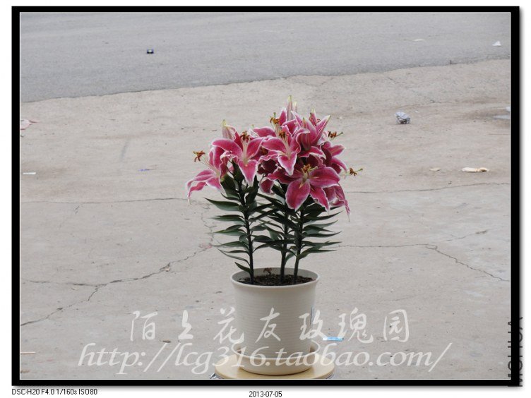 nEO_IMG_DSC05110.jpg