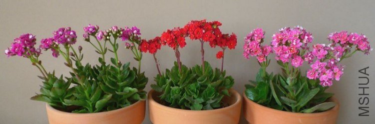 QQͼƬ20130705215257.jpg