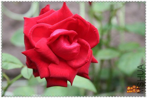 ��Ƭ 034_����.jpg