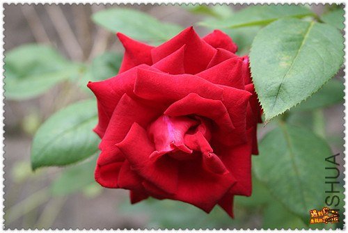 ��Ƭ 035_����.jpg