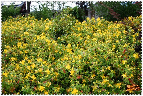 ��Ƭ 086_����.jpg