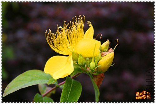 ��Ƭ 088_����.jpg